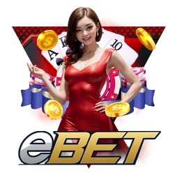 wt-bbin-live cover image png